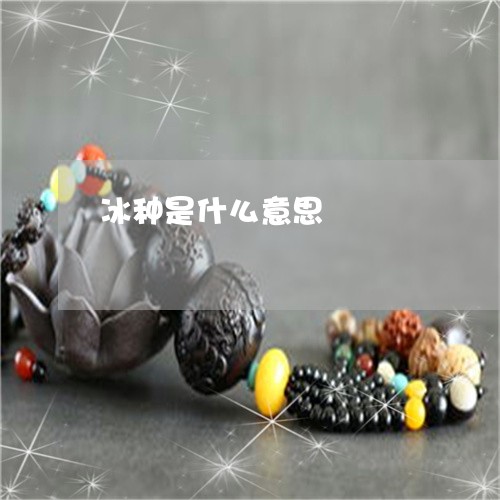 冰种是什么意思/2023040573737 冰种是什么意思/2023040573737