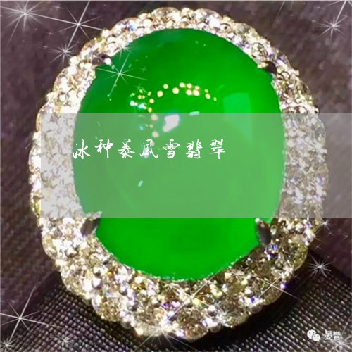 冰种暴风雪翡翠/2023040545047 冰种暴风雪翡翠/2023040545047