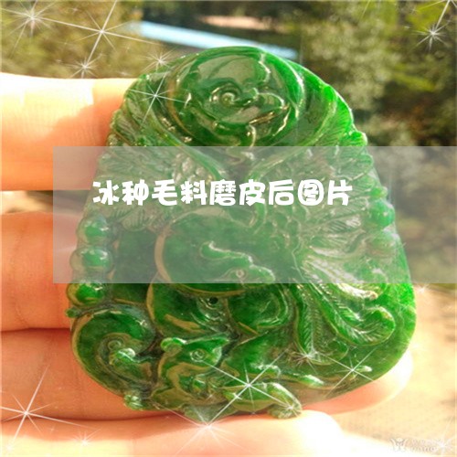 冰种毛料磨皮后图片/2023042339572