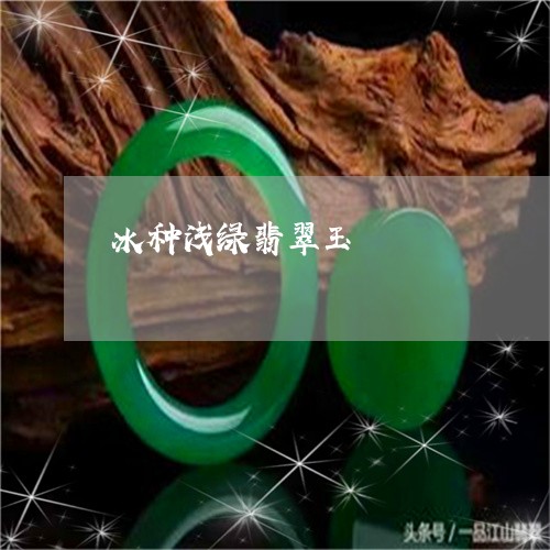 冰种浅绿翡翠玉/2023040506937 冰种浅绿翡翠玉/2023040506937
