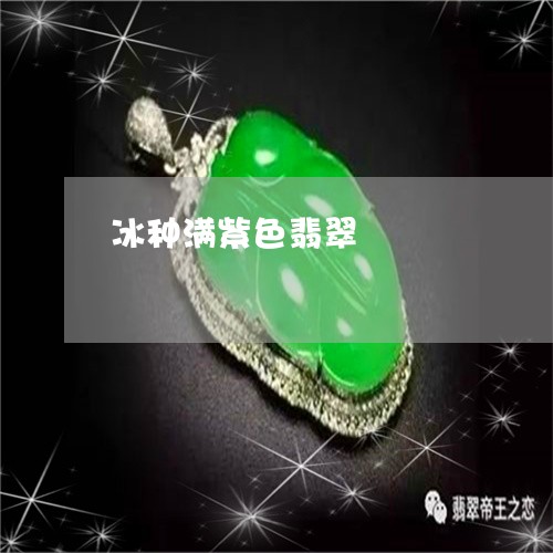 冰种满紫色翡翠/2023040506158