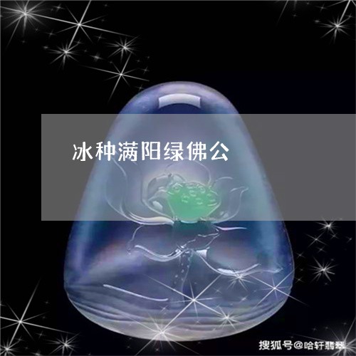冰种满阳绿佛公/2023040517348 冰种满阳绿佛公/2023040517348
