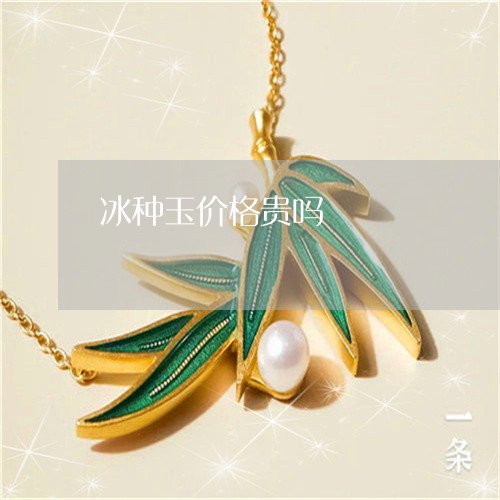 冰种玉价格贵吗/2023040595845