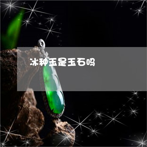 冰种玉是玉石吗/2023040534050 冰种玉是玉石吗/2023040534050