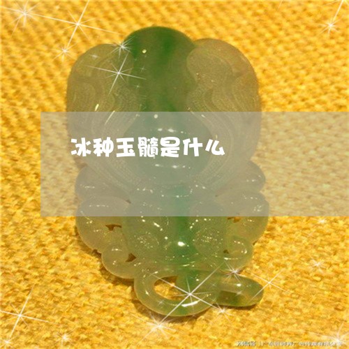 冰种玉髓是什么/2023040518462 冰种玉髓是什么/2023040518462