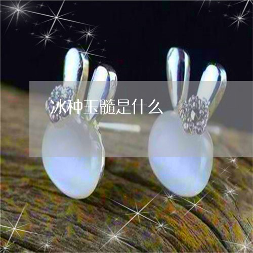冰种玉髓是什么/2023040597149 冰种玉髓是什么/2023040597149