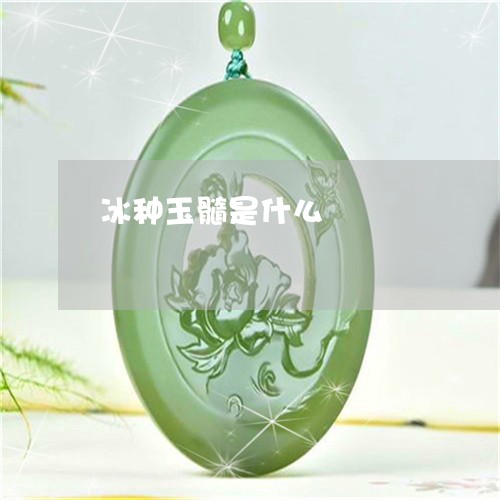 冰种玉髓是什么/2023040597926 冰种玉髓是什么/2023040597926