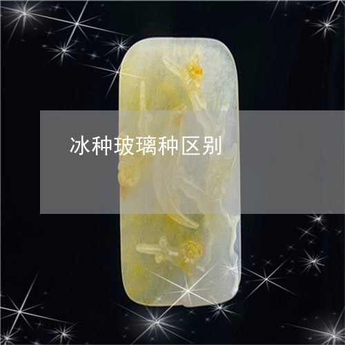 冰种玻璃种区别/2023040588371 冰种玻璃种区别/2023040588371