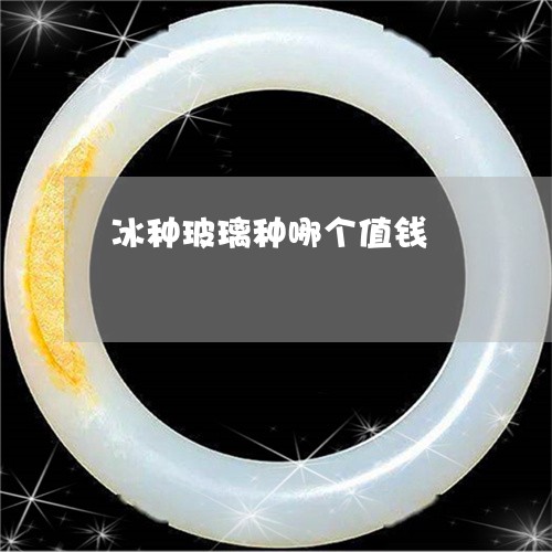 冰种玻璃种哪个值钱/2023042359261