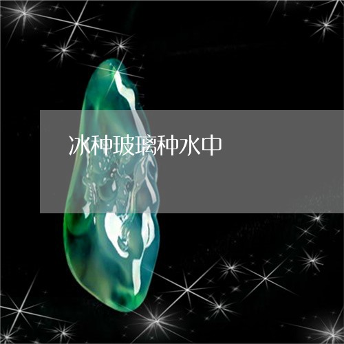 冰种玻璃种水中/2023040528271 冰种玻璃种水中/2023040528271