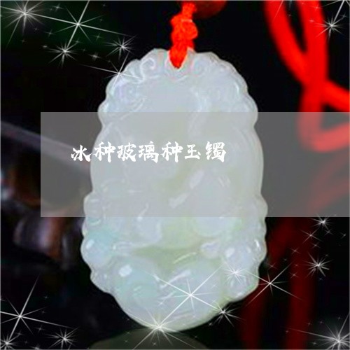 冰种玻璃种玉镯/2023040548572 冰种玻璃种玉镯/2023040548572