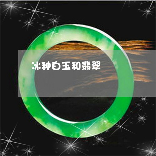 冰种白玉和翡翠/2023040529168 冰种白玉和翡翠/2023040529168