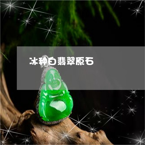 冰种白翡翠原石/2023040558592