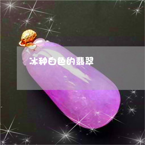冰种白色的翡翠/2023040515127 冰种白色的翡翠/2023040515127