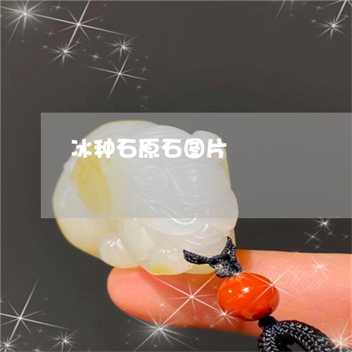 冰种石原石图片/2023040518150