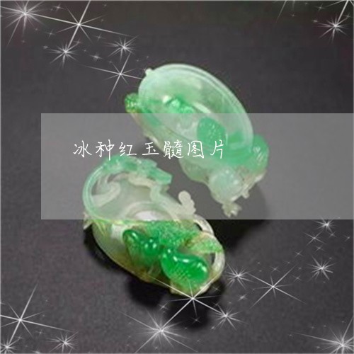 冰种红玉髓图片/2023040560493 冰种红玉髓图片/2023040560493