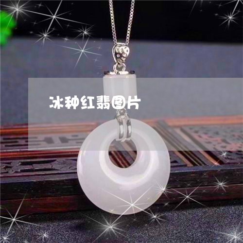 冰种红翡图片/2023032084615 冰种红翡图片/2023032084615