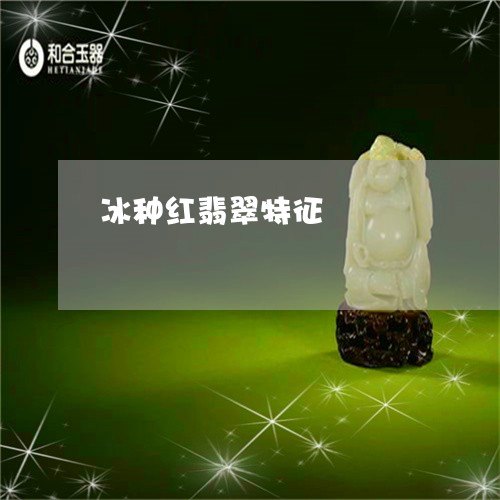 冰种红翡翠特征/2023040575927 冰种红翡翠特征/2023040575927
