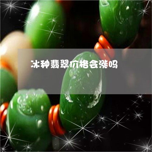 冰种翡翠价格会涨吗/2023042361694