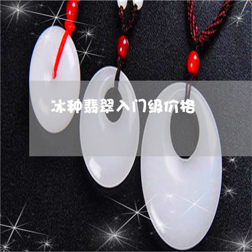 冰种翡翠入门级价格/2023042369505 冰种翡翠入门级价格/2023042369505