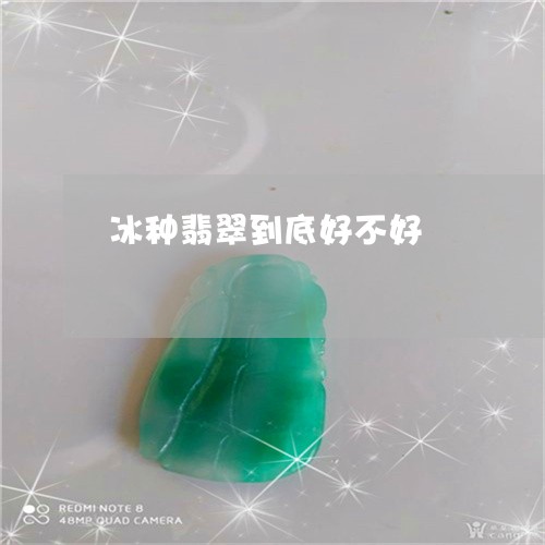 冰种翡翠到底好不好/2023042371539 冰种翡翠到底好不好/2023042371539