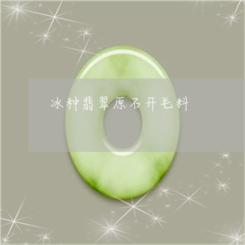 冰种翡翠原石开毛料/2023042384524 冰种翡翠原石开毛料/2023042384524