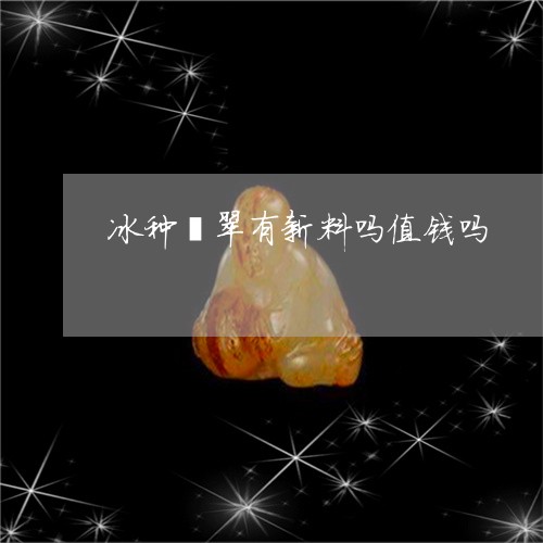 冰种翡翠有新料吗值钱吗/2023061858250