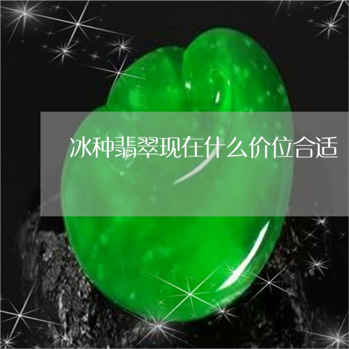 冰种翡翠现在什么价位合适/2023071150282