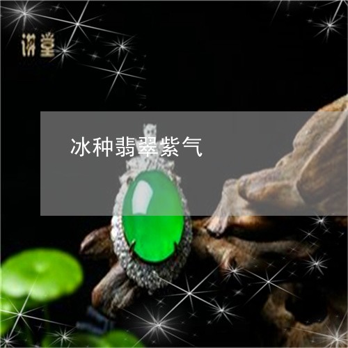 冰种翡翠紫气/2023032005046