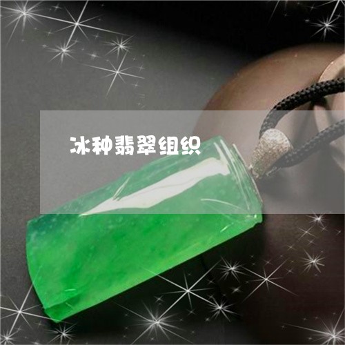 冰种翡翠组织/2023032038160 冰种翡翠组织/2023032038160