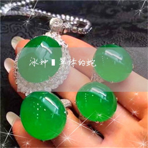 冰种翡翠绿的蛇/2023040581704 冰种翡翠绿的蛇/2023040581704