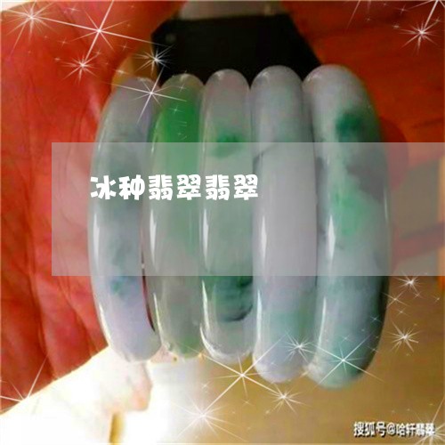 冰种翡翠翡翠/2023032083937