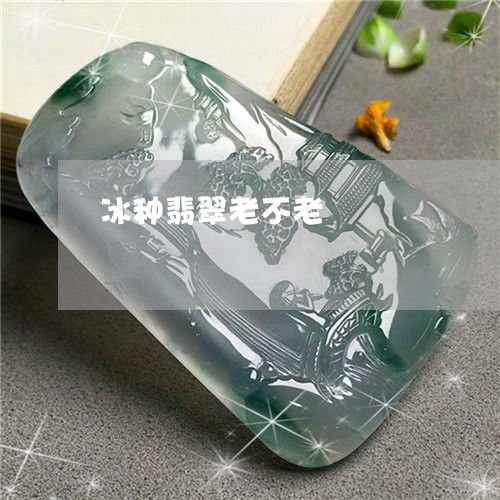 冰种翡翠老不老/2023040516160
