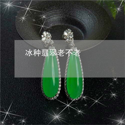 冰种翡翠老不老/2023040525948