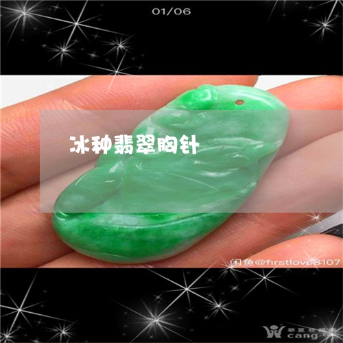 冰种翡翠胸针/2023032071581 冰种翡翠胸针/2023032071581