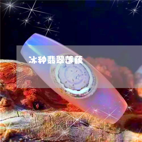 冰种翡翠莲藕/2023032047269 冰种翡翠莲藕/2023032047269