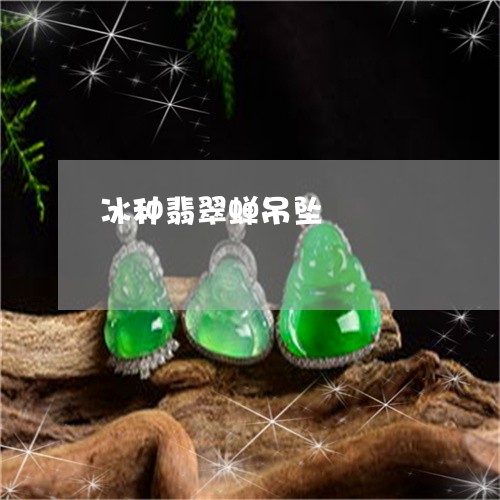 冰种翡翠蝉吊坠/2023040597258