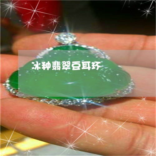 冰种翡翠豆耳环/2023040539371