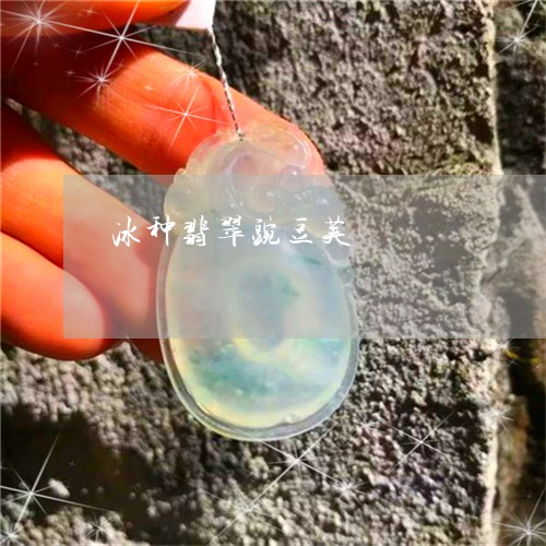 冰种翡翠豌豆荚/2023040550270