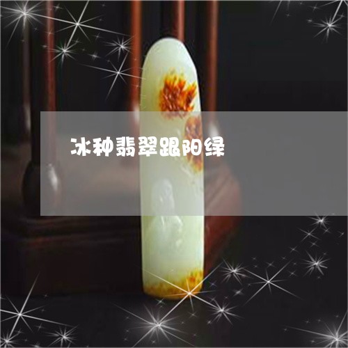 冰种翡翠跟阳绿/2023040551272 冰种翡翠跟阳绿/2023040551272