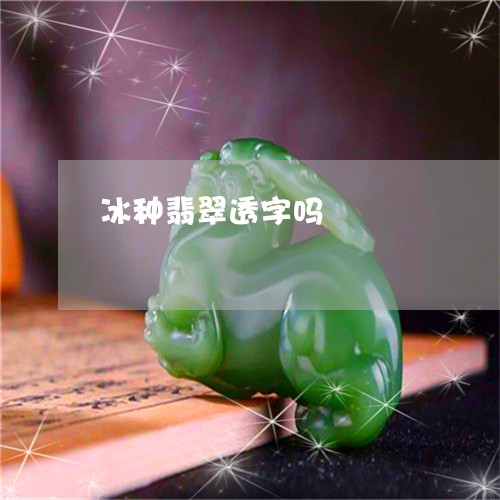 冰种翡翠透字吗/2023040596068 冰种翡翠透字吗/2023040596068