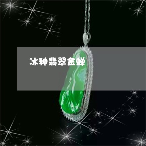 冰种翡翠金蝉/2023032005279 冰种翡翠金蝉/2023032005279