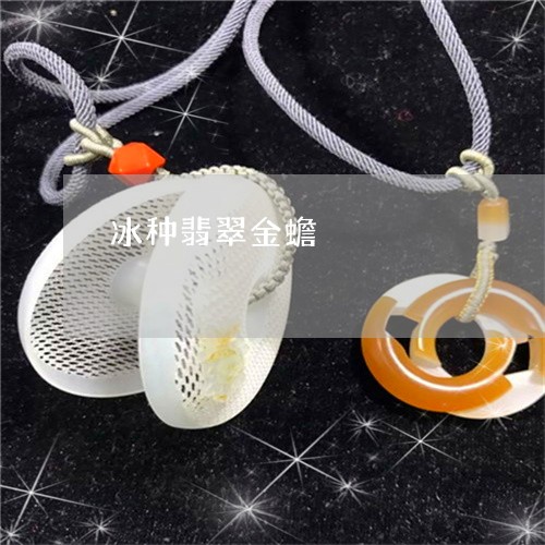 冰种翡翠金蟾/2023032093804 冰种翡翠金蟾/2023032093804