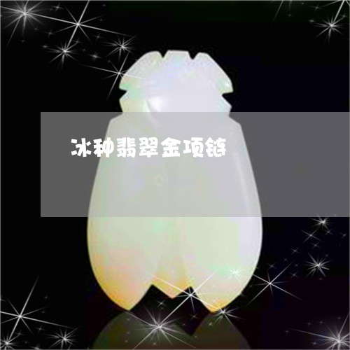 冰种翡翠金项链/2023040530460 冰种翡翠金项链/2023040530460