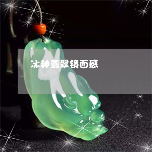冰种翡翠镜面感/2023040540394 冰种翡翠镜面感/2023040540394