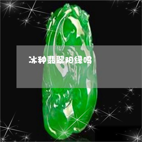 冰种翡翠阳绿吗/2023040517260 冰种翡翠阳绿吗/2023040517260