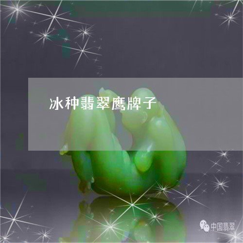冰种翡翠鹰牌子/2023040576849 冰种翡翠鹰牌子/2023040576849