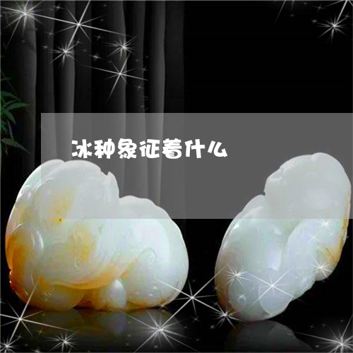 冰种象征着什么/2023040520270 冰种象征着什么/2023040520270