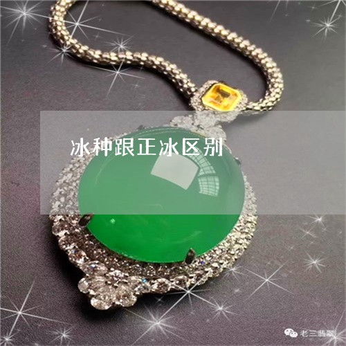 冰种跟正冰区别/2023040526242 冰种跟正冰区别/2023040526242