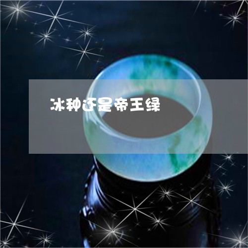 冰种还是帝王绿/2023040533584 冰种还是帝王绿/2023040533584